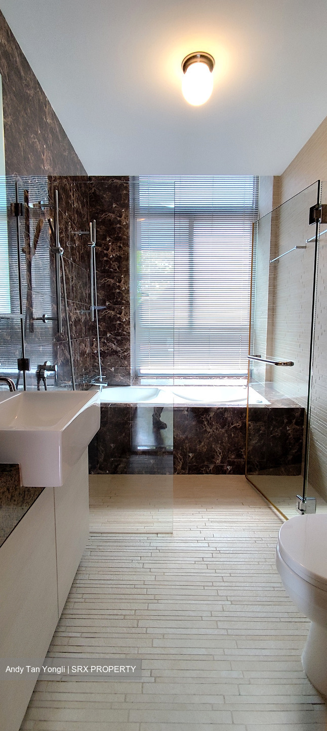 Viz At Holland (D10), Condominium #437844871